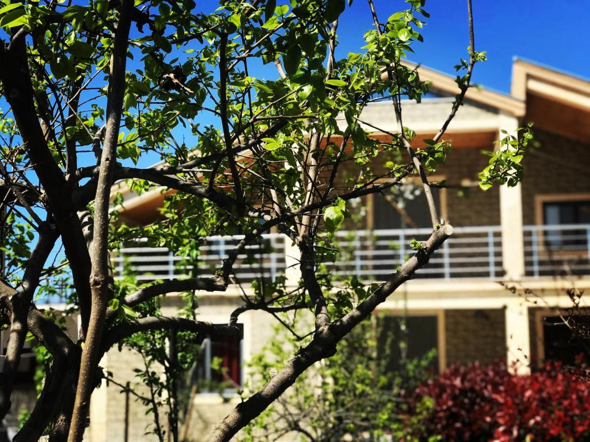 Villa Garden Shkodra Exterior foto